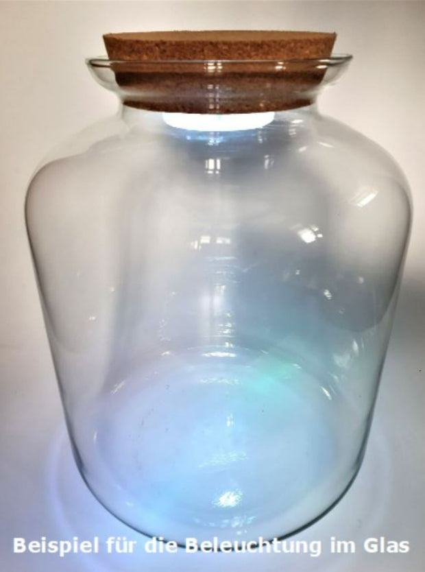 Glasgefäß | Ø25-H:32cm mit Korkverschluss | Optional mit Beleuchtung